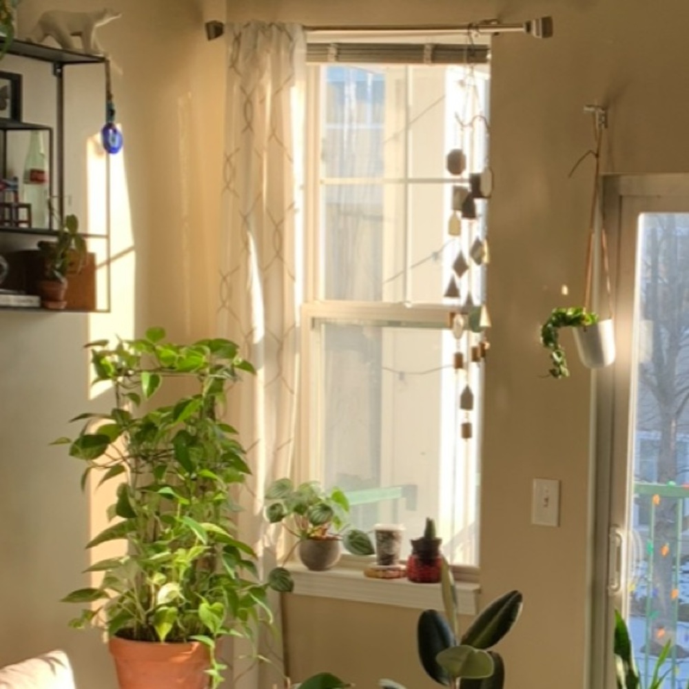 Two Sheer Boho Curtain Panels